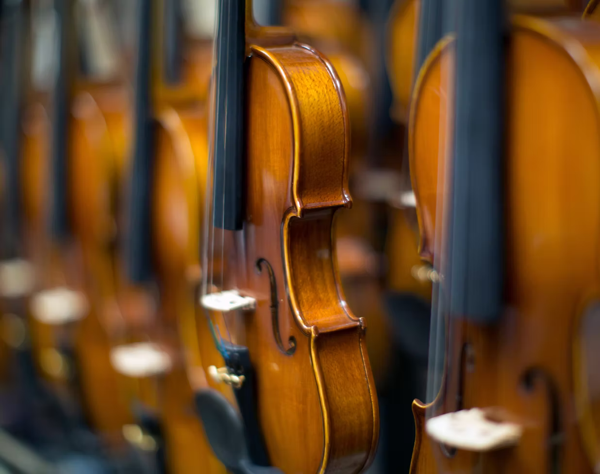 Row of violins
